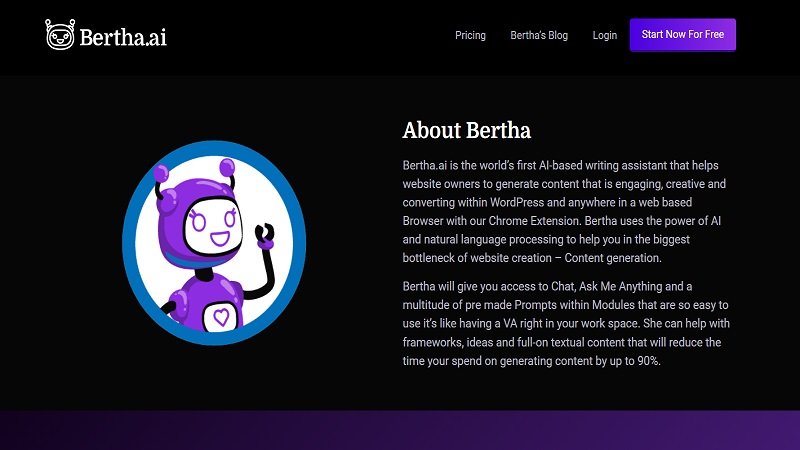 Bertha AI