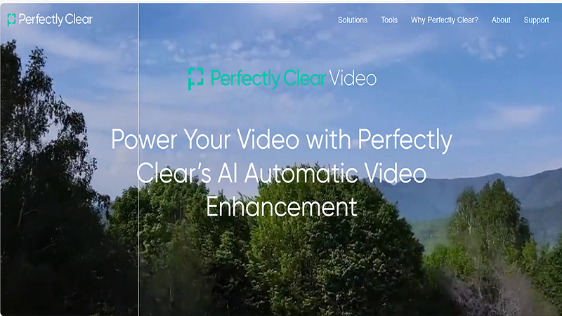 Perfectly Clear Video