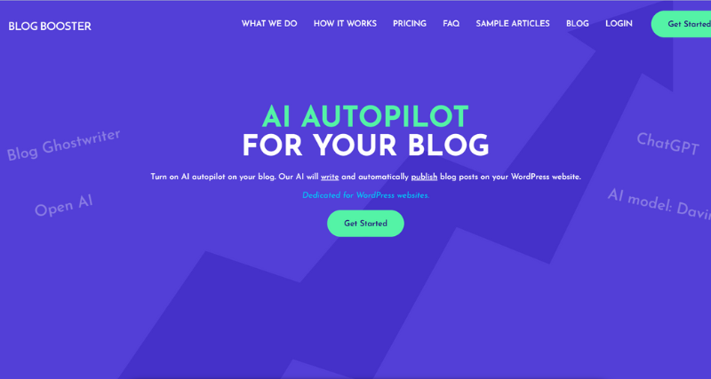 Blog Booster