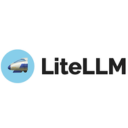 LiteLLM logo