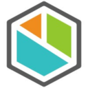 bizagi Logo